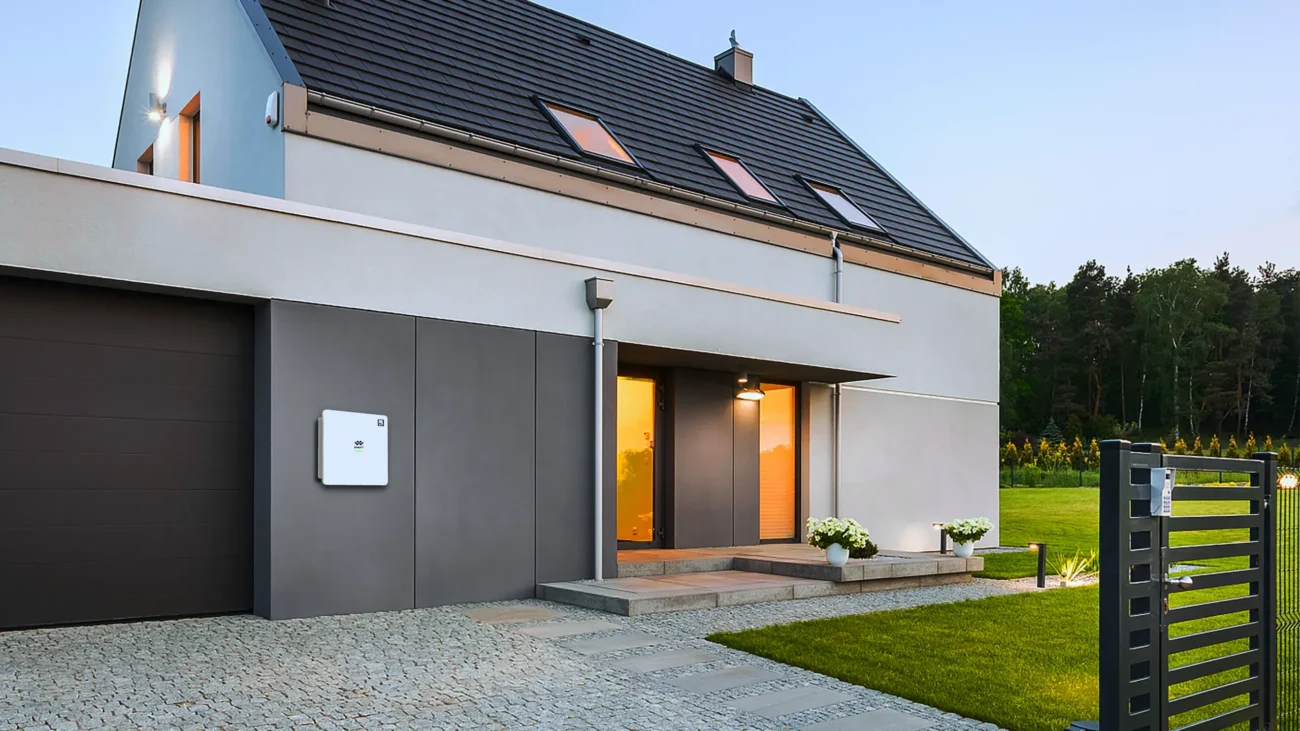 BIWATT INVERTER